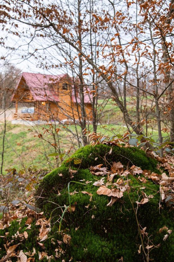 Brvnaria Villa Slatina Ngoại thất bức ảnh